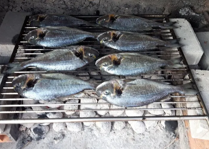 Appartement Solaria *